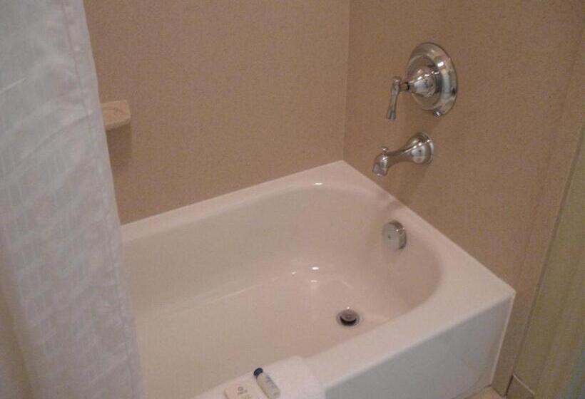 جناح سرير كينج, Executive Inn & Suites Joaquin