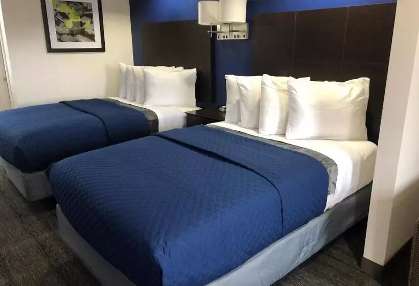 スタンダードルーム, Executive Inn & Suites Joaquin