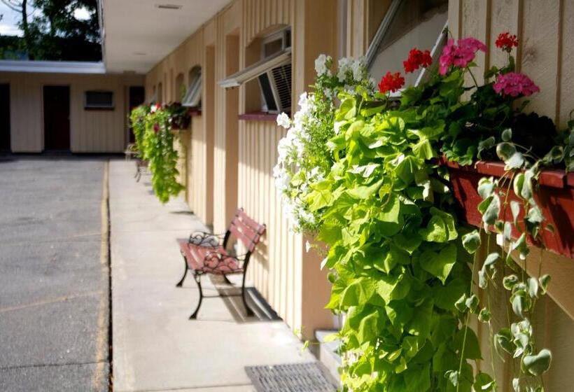 اتاق استاندارد, Sunset Motor Inn