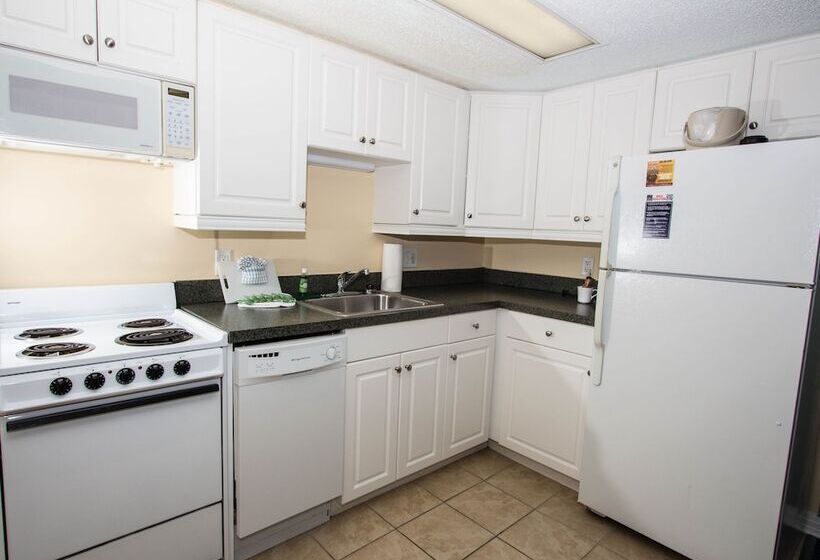 חדר סטודיו סטנדרד, Peppertree By The Sea