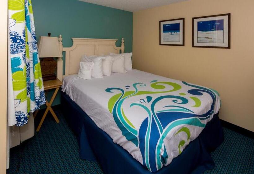 סוויטה, Peppertree By The Sea