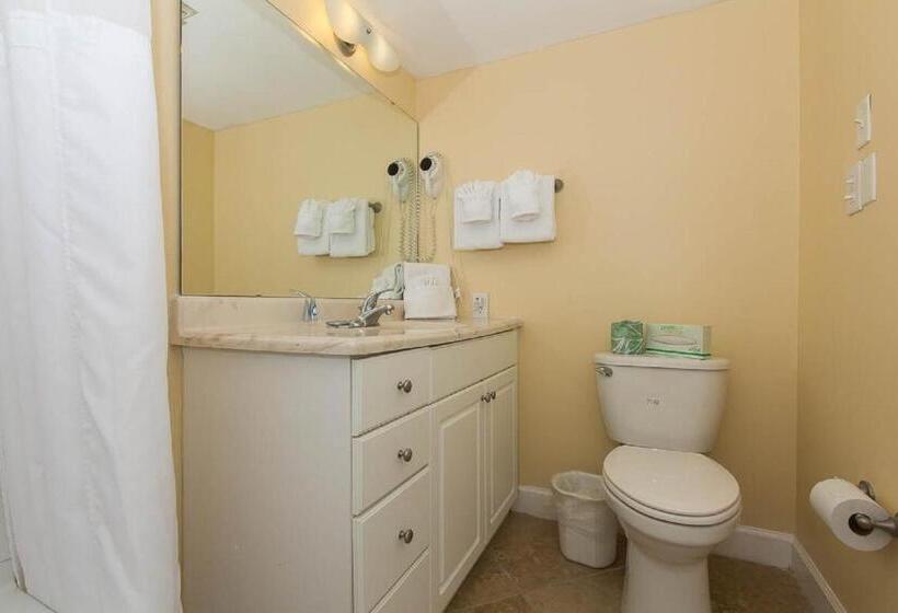 חדר סטודיו סטנדרד, Peppertree By The Sea