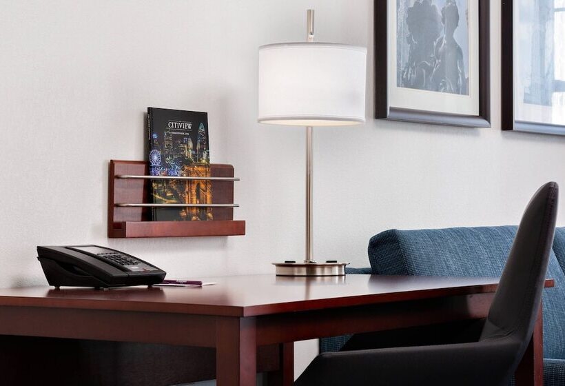 带2个卧室的套房, Residence Inn By Marriott Cincinnati Downtown/the Phelps