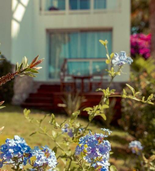 اتاق استاندارد, Destino Pacha Ibiza