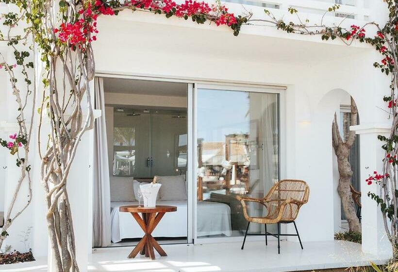 سوییت, Destino Pacha Ibiza