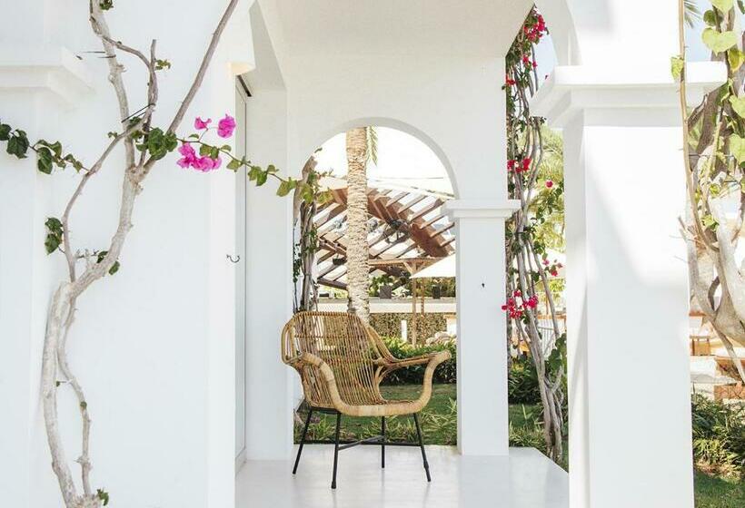 سوییت, Destino Pacha Ibiza