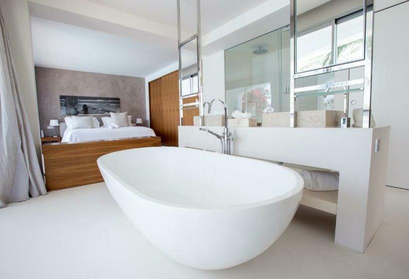 سوییت, Destino Pacha Ibiza