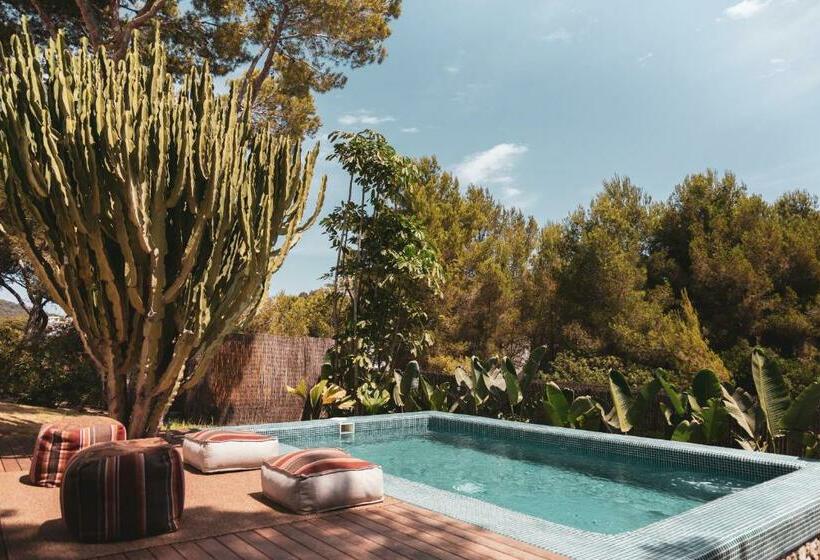 ویلای یک اتاق خوابه با استخر شنا, Destino Pacha Ibiza