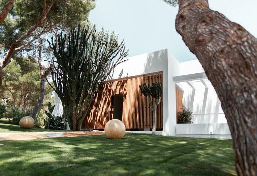 ویلای یک اتاق خوابه با استخر شنا, Destino Pacha Ibiza