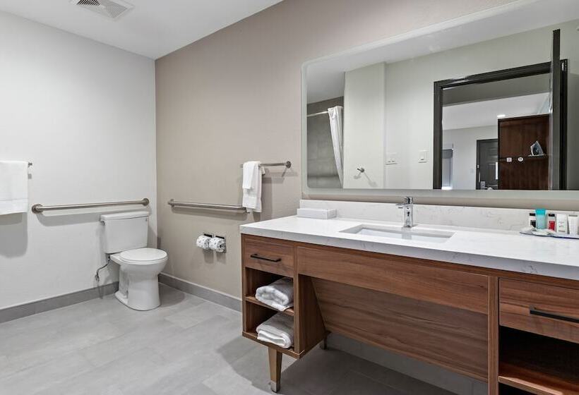 Люкс Адаптированный для Инвалидов, Hawthorn Extended Stay By Wyndham Port Arthur