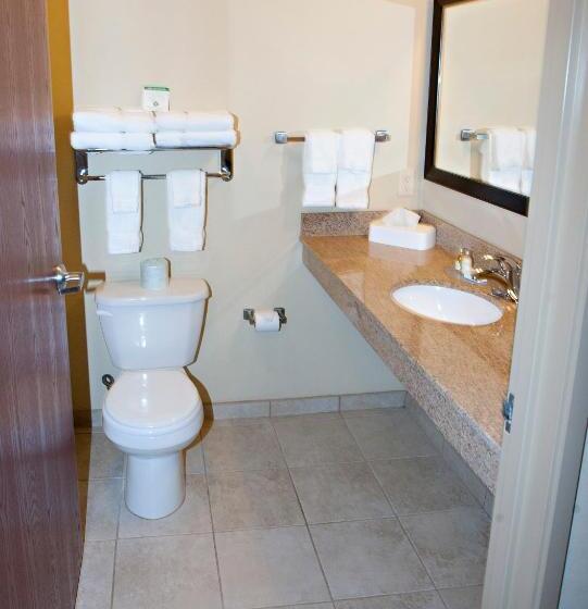 غرفة قياسية سرير كينج, Cobblestone Inn & Suites   Langdon