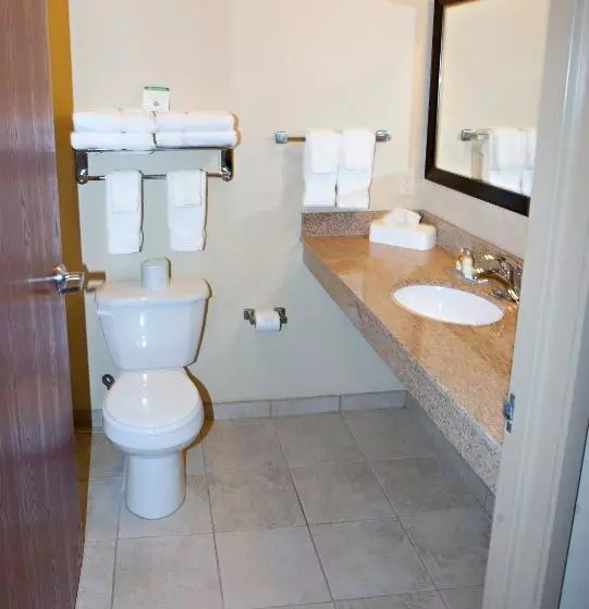 Standard-huone King-vuode, Cobblestone Inn & Suites Langdon