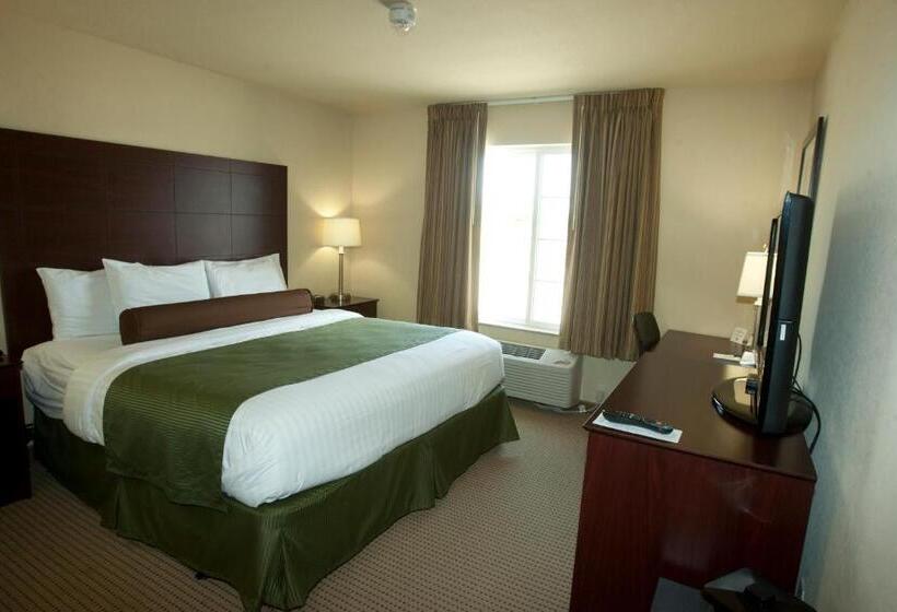 غرفة قياسية سرير كينج, Cobblestone Inn & Suites   Langdon