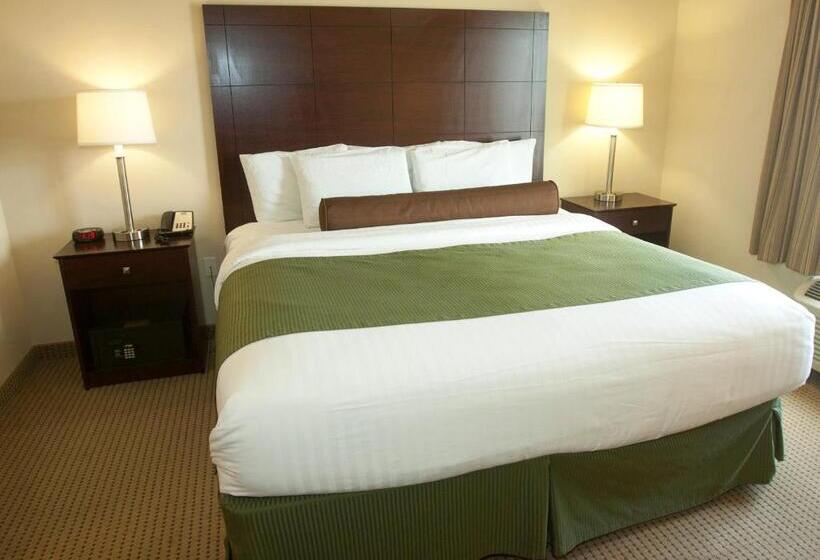 غرفة قياسية سرير كينج, Cobblestone Inn & Suites   Langdon