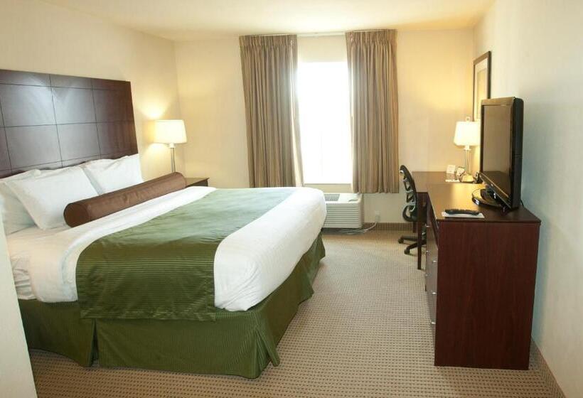 带大床的标准间, Cobblestone Inn & Suites   Langdon