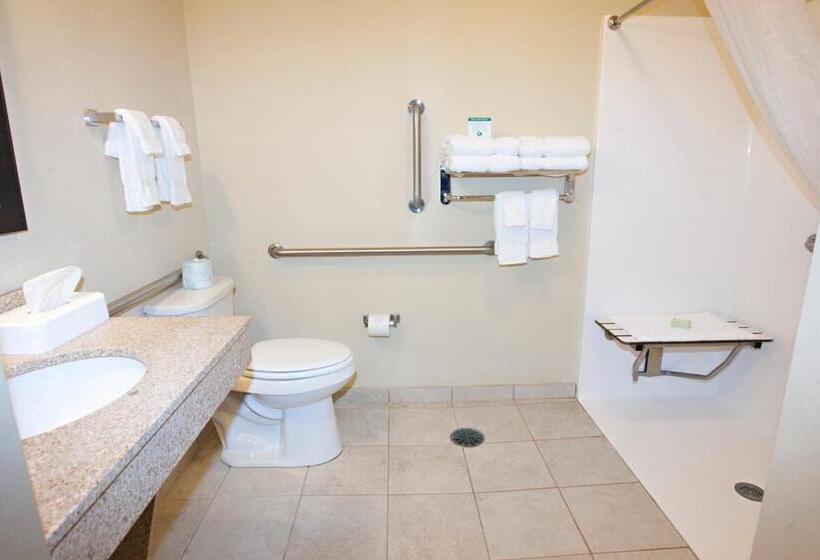 غرفة قياسية لذوى الاحتياجات الخاصة, Cobblestone Inn & Suites   Langdon