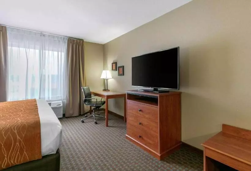 キングサイズベッドのスタンダードルーム, Comfort Inn & Suites Marion I57
