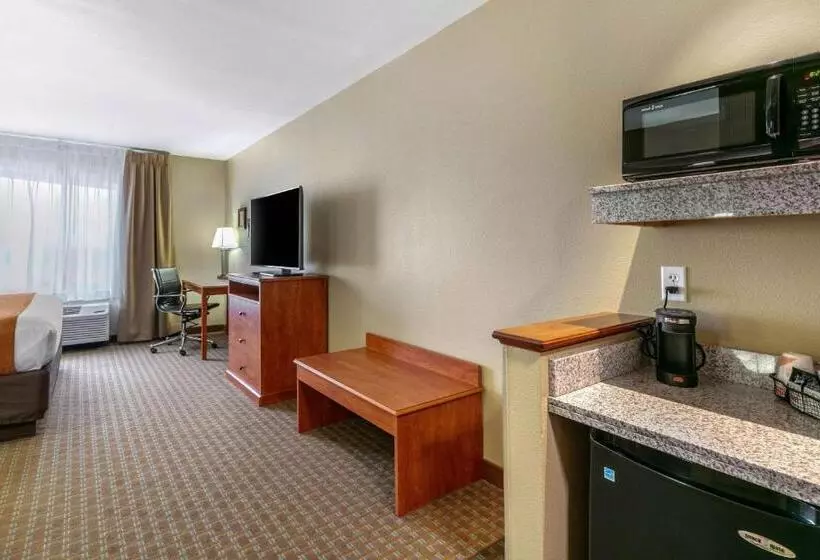 キングサイズベッドのスタンダードルーム, Comfort Inn & Suites Marion I57