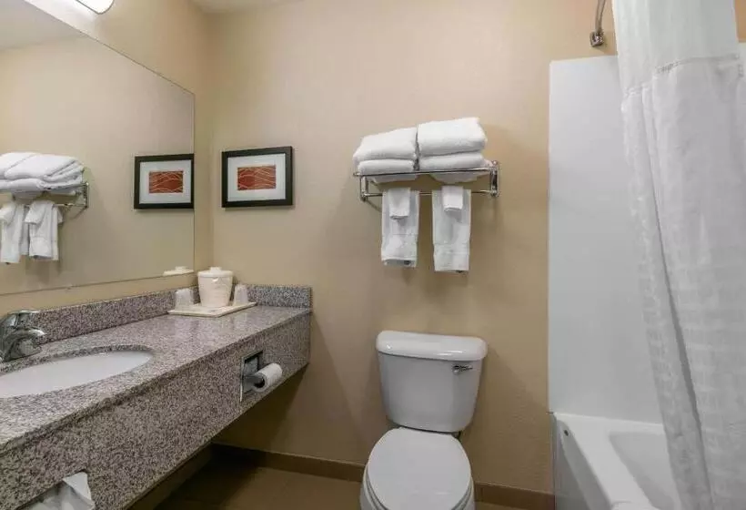 キングサイズベッドのスタンダードルーム, Comfort Inn & Suites Marion I57