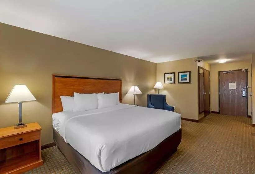 キングサイズベッドのスタンダードルーム, Comfort Inn & Suites Marion I57