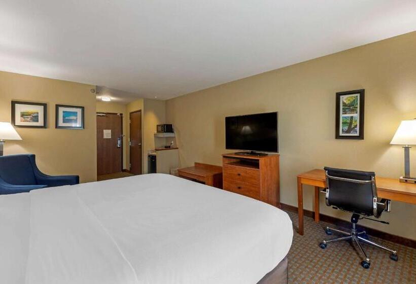 חדר סטנדרט עם מיטת קינג, Comfort Inn & Suites Marion I57