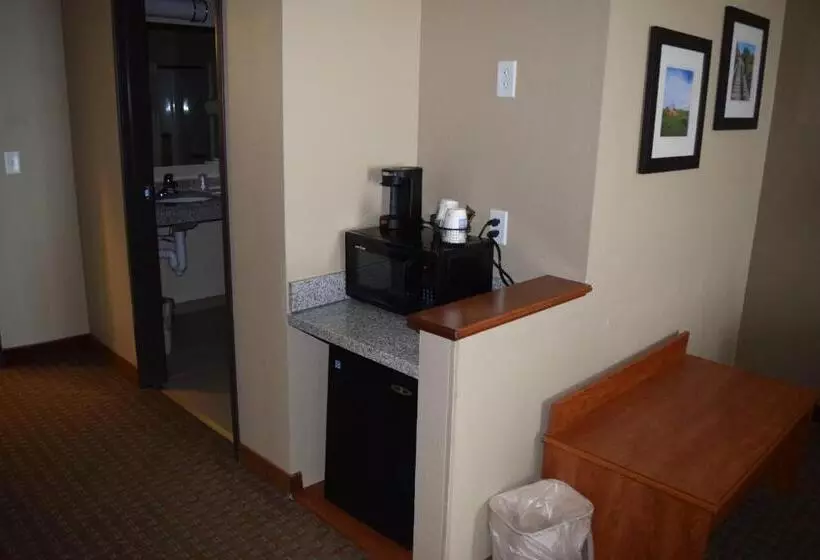 スタンダードルーム, Comfort Inn & Suites Marion I57