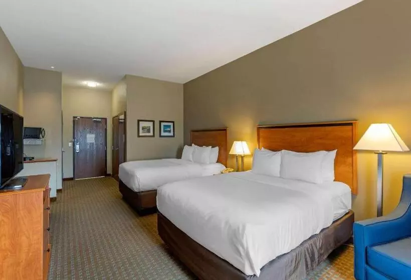 スタンダードルーム, Comfort Inn & Suites Marion I57