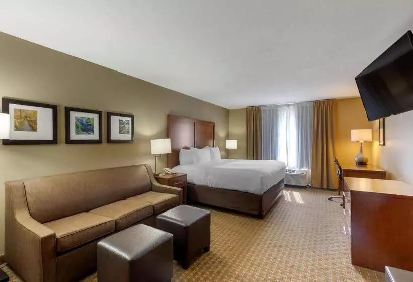 キングサイズベッドのスイートルーム, Comfort Inn & Suites Marion I57