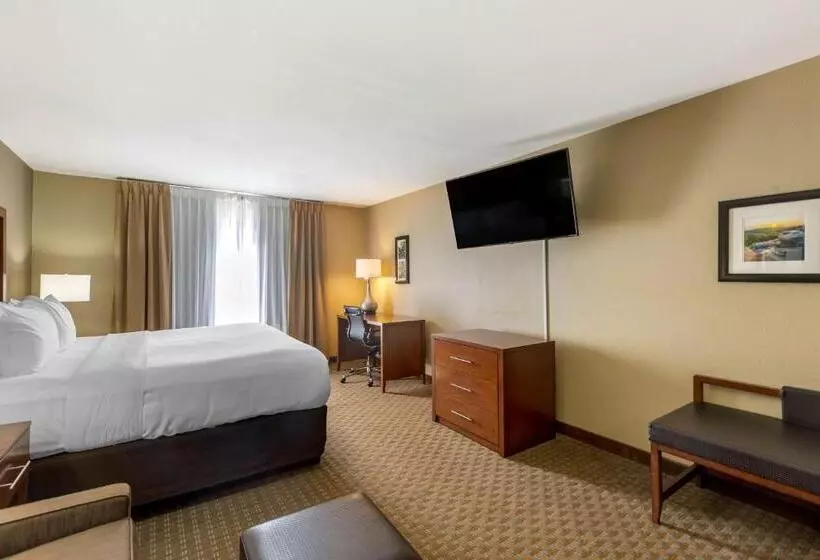 キングサイズベッドのスイートルーム, Comfort Inn & Suites Marion I57