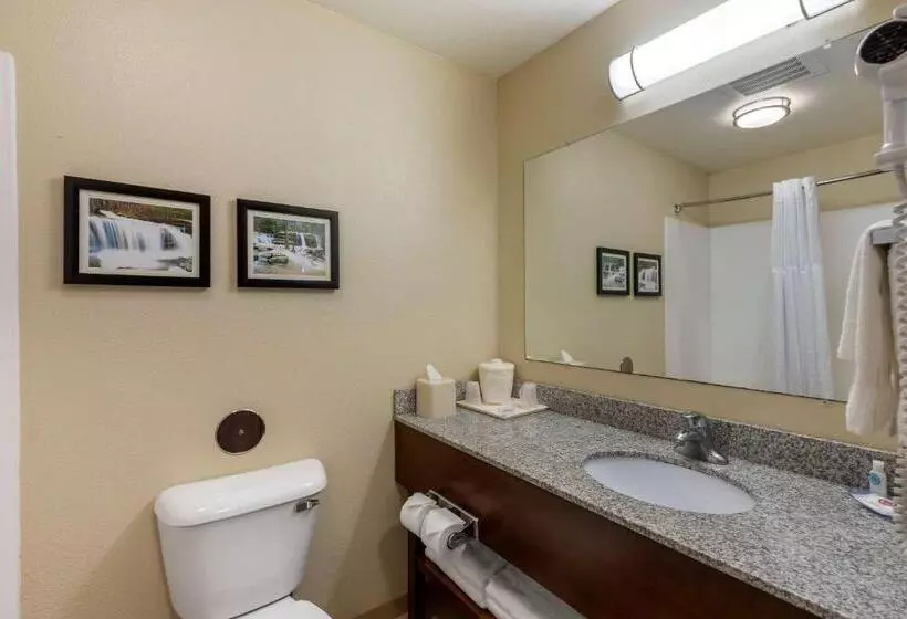 キングサイズベッドのスイートルーム, Comfort Inn & Suites Marion I57
