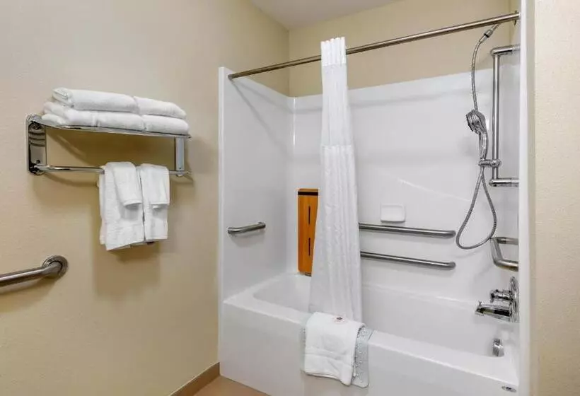 身障者適用キングサイズベッドルーム, Comfort Inn & Suites Marion I57