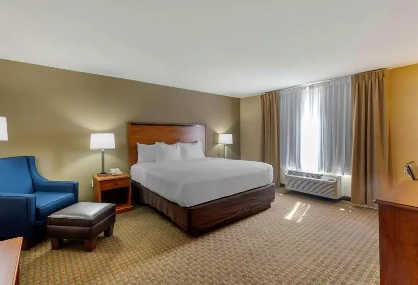身障者適用キングサイズベッドルーム, Comfort Inn & Suites Marion I57