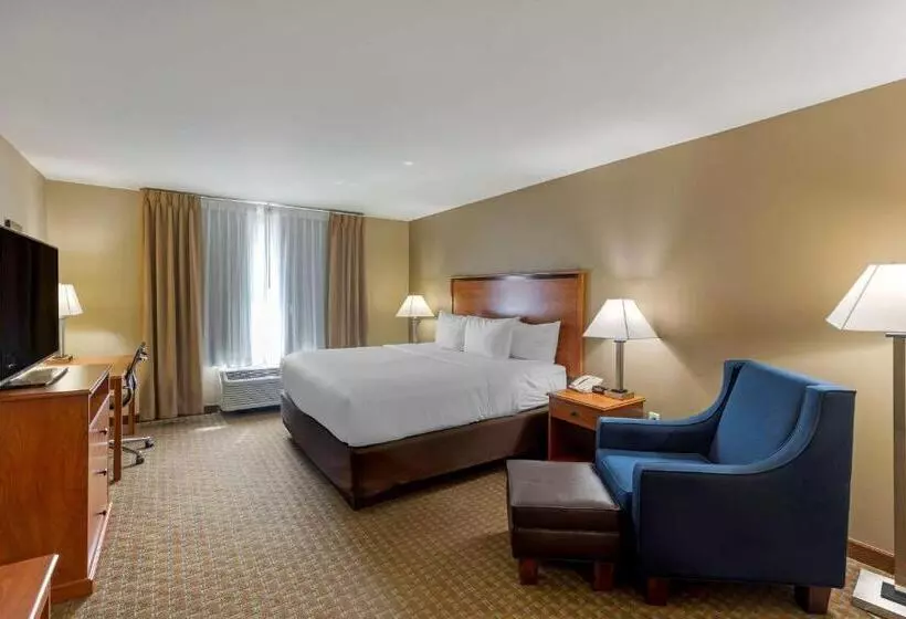 身障者適用キングサイズベッドルーム, Comfort Inn & Suites Marion I57