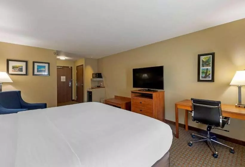 身障者適用キングサイズベッドルーム, Comfort Inn & Suites Marion I57