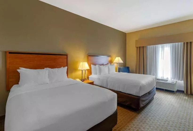 身障者適用スタンダードルーム, Comfort Inn & Suites Marion I57