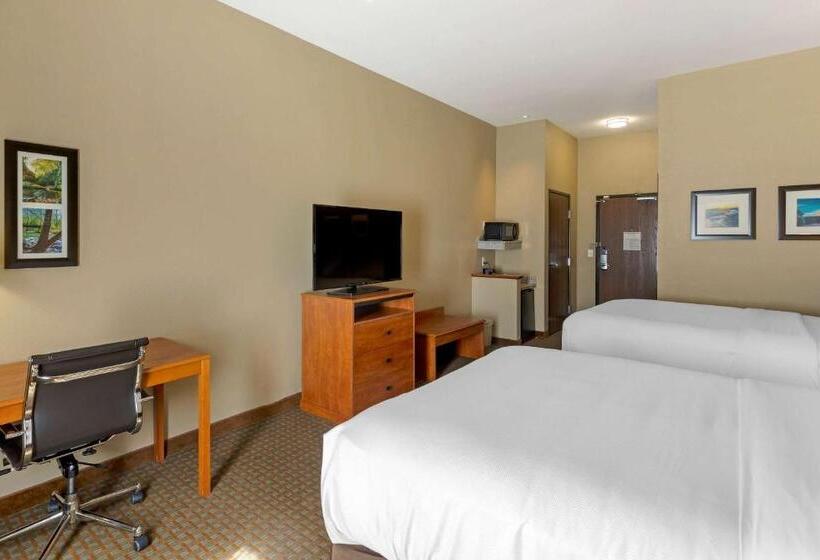 Номер Стандарт Адаптированный для Инвалидов, Comfort Inn & Suites Marion I57