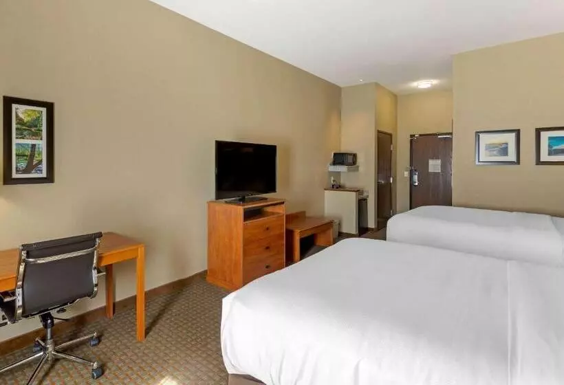 身障者適用スタンダードルーム, Comfort Inn & Suites Marion I57