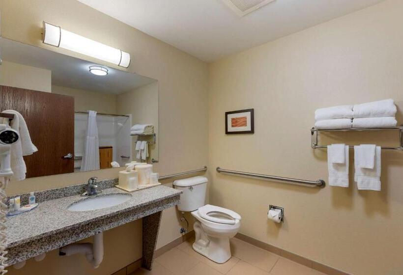 חדר סטנדרט מותאם לאדם עם מוגבלויות, Comfort Inn & Suites Marion I57