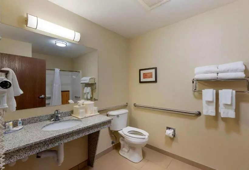 身障者適用スタンダードルーム, Comfort Inn & Suites Marion I57