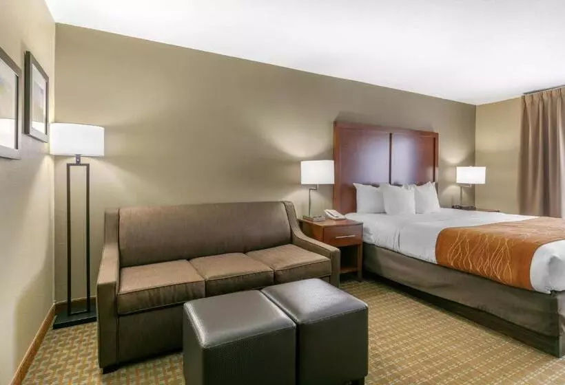 身障者適用スイートルーム, Comfort Inn & Suites Marion I57