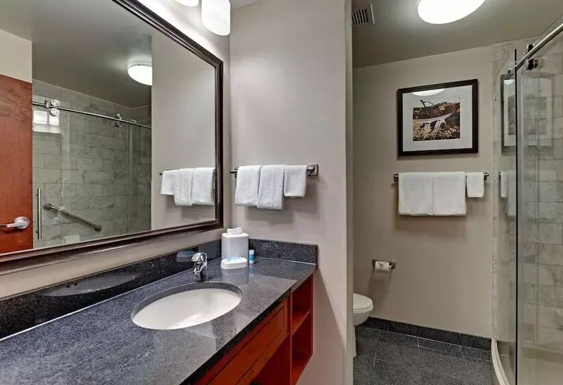 デラックスルーム, Drury Plaza Hotel Nashville Franklin