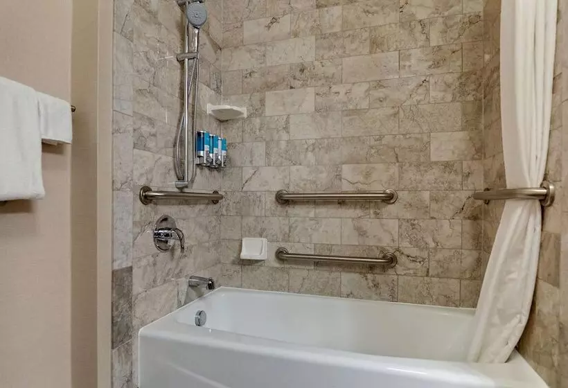 障害者適応デラックスルーム, Drury Plaza Hotel Nashville Franklin