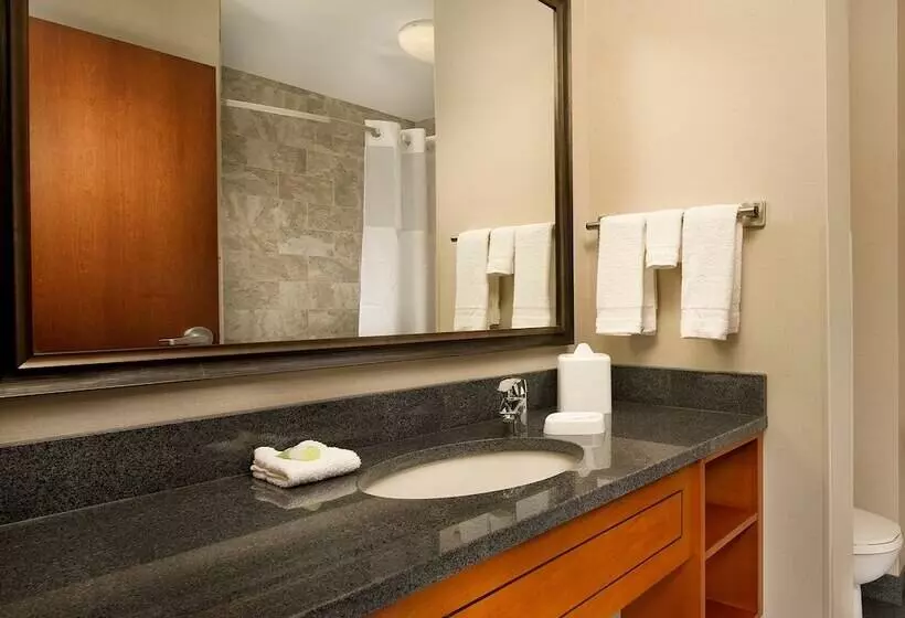 障害者適応デラックスルーム, Drury Plaza Hotel Nashville Franklin