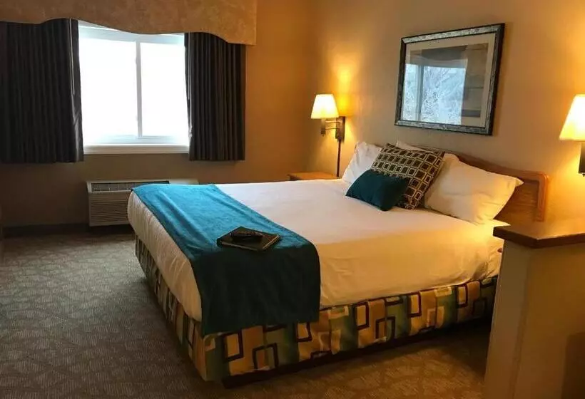 سوئیت با تخت بزرگ, Everspring Suites