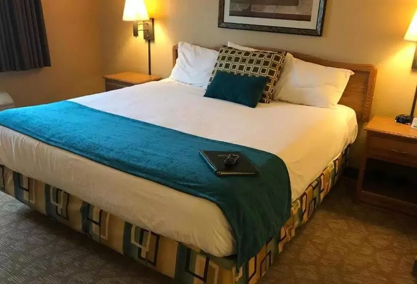 سوئیت با تخت بزرگ, Everspring Suites
