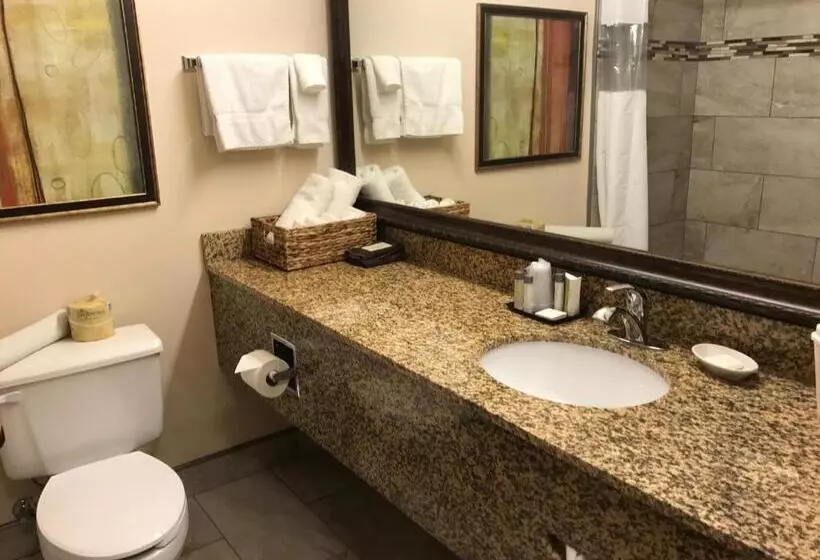 سوئیت با تخت بزرگ, Everspring Suites