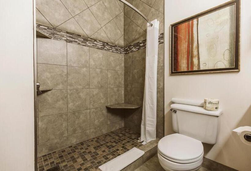 מיטת קינג בסוויטה, Everspring Suites