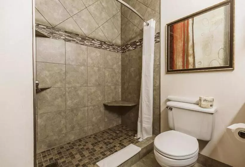 سوئیت با تخت بزرگ, Everspring Suites