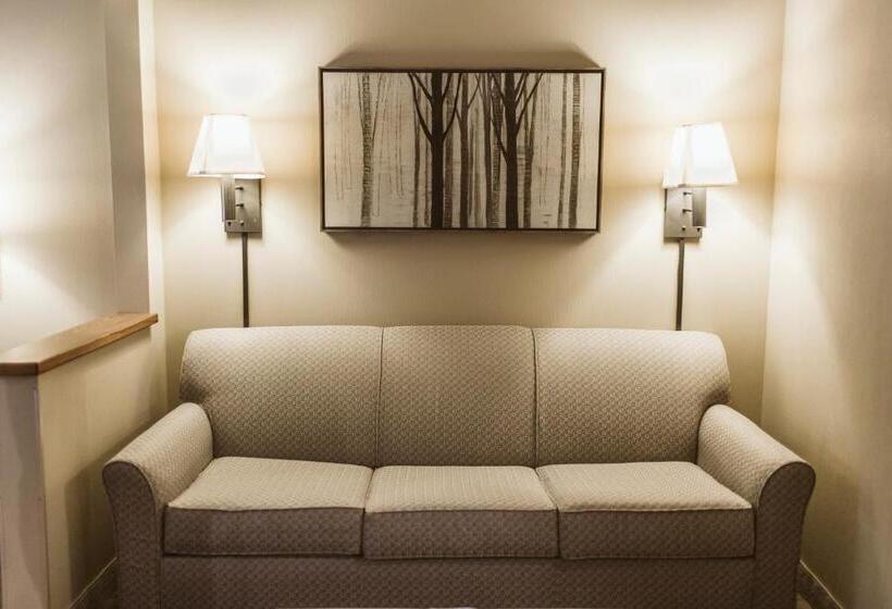 מיטת קינג בסוויטה, Everspring Suites