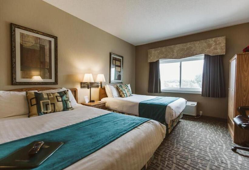 套房, Everspring Suites